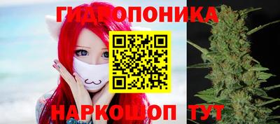 герыч Можга