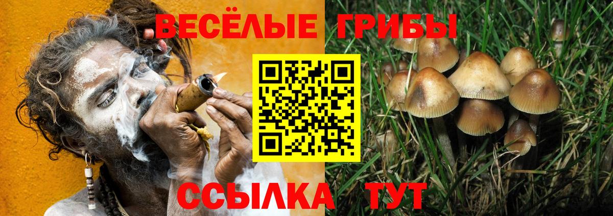 Галлюциногенные грибы MAGIC MUSHROOMS  Вход с VPN  Железногорск 
