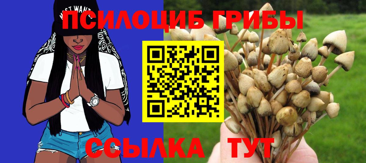 Галлюциногенные грибы прущие грибы Железногорск